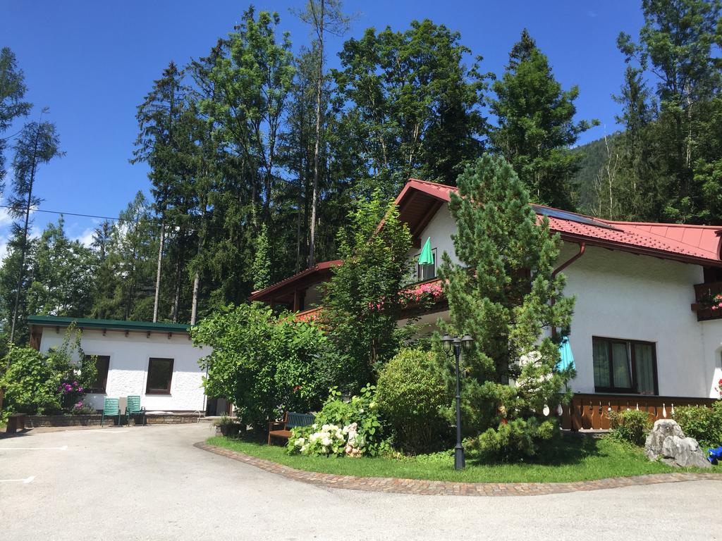 Waldhaus Lägenhet Hinterstoder Exteriör bild