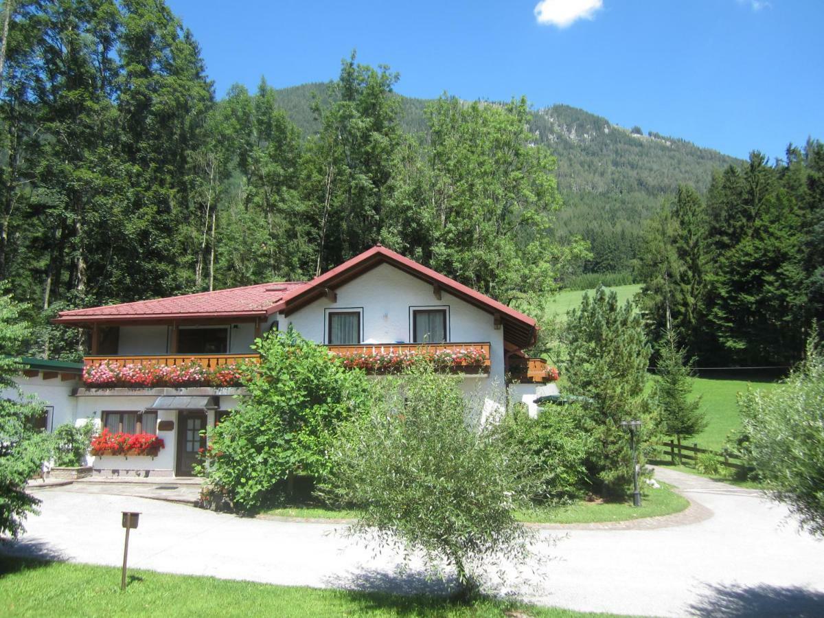 Waldhaus Lägenhet Hinterstoder Exteriör bild